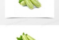 吃葫芦瓜视频大全,视频大全带你领略各式烹饪技巧