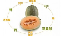 三亚最新吃瓜视频,揭秘网红打卡地幕后真相