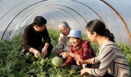 吃瓜老太太原视频,揭秘“吃瓜老太太”爆红背后的故事