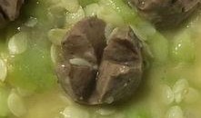 吃煮水瓜视频大全集,养生美食，健康生活必备