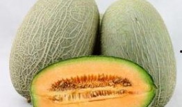 喝完酒吃哈密瓜的视频,酒后食哈密瓜的奇妙体验
