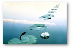 人生如梦吃瓜视频下载