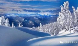 雪景拍摄吃瓜视频,趣味横生的冬日雪景短视频