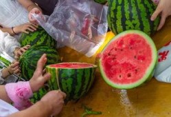 吃瓜的手艺视频大全集,吃瓜手艺视频大全集揭秘