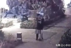 泰州吃瓜事件视频曝光,一场引发热议的网络风波