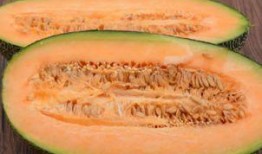 哈密瓜能烤着吃么视频教程