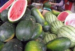 中国吃瓜的视频,揭秘网络热点的幕后故事