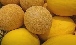 吃哈密瓜糖儿童视频