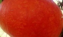 全程吃瓜现场直播视频,揭秘吃瓜现场幕后真相