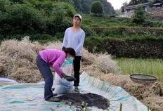 吃瓜狗子被套懵了视频在线观看,萌宠搞笑瞬间，在线观看笑不停