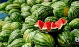 古乡湖吃瓜视频,一场别开生面的乡村盛宴