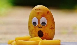 狐狸吃蜜瓜的视频大全集,趣味视频大全集回顾