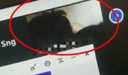 麦马网课吃瓜原视频资源,揭秘热门视频背后的真相与笑料