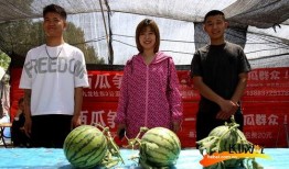 夏季吃瓜视频图片高清,高清吃瓜瞬间，解锁夏日休闲新姿势