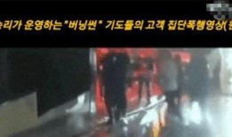 贤合庄吃瓜群众事件视频,一场网络舆论的风暴与反思