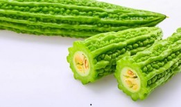 小朋友吃生瓜好嘛视频