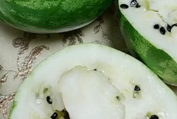 东北搞笑瓜瓜吃瓜视频,吃瓜群众欢乐多，笑料横生视频集锦