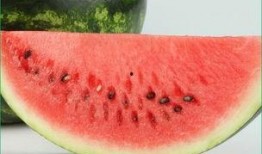 吃小瓜容易长胖吗视频,吃小瓜真的会导致长胖？揭秘瓜类食物的真相