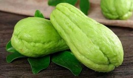 拉藤瓜好吃吗怎么吃视频,视频教你轻松享美食