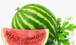 红脸吃瓜视频素材高清图片,高清视觉盛宴