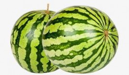 吃烧瓜的视频大全集下载,视频大全集下载攻略