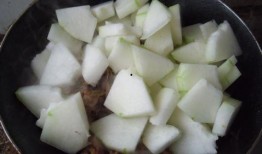 鸡能吃烂瓜吗怎么吃视频,视频揭秘最佳食用方法