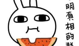 吃骚瓜会食物中毒吗视频,吃骚瓜真的会导致食物中毒吗？