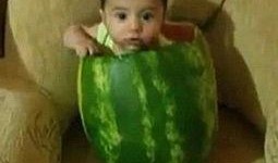 广东小胖吃土瓜视频大全,趣味视频大盘点