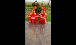 舞蹈猴子吃瓜视频大全集,舞蹈猴子吃瓜视频全集精彩回顾