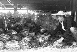 弋阳吃瓜群众事件视频