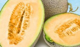 吃哈密瓜甜瓜视频,视频揭秘口感与营养大比拼