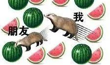 麦马网课吃瓜原视频资源,揭秘热门视频背后的真相与笑料