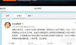 吃瓜快进视频怎么弄,轻松生成精彩概述