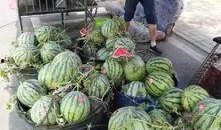 台州网红吃瓜事件视频