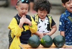 萌娃看着爸爸吃瓜视频,萌态十足引网友热议