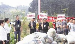 金沙县吃瓜事件始末视频,一场网络舆论的风暴与反思