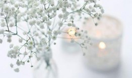 人生如梦吃瓜视频下载