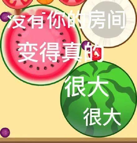 吃瓜大赛顺口溜大全视频,趣味横生的瓜界盛宴